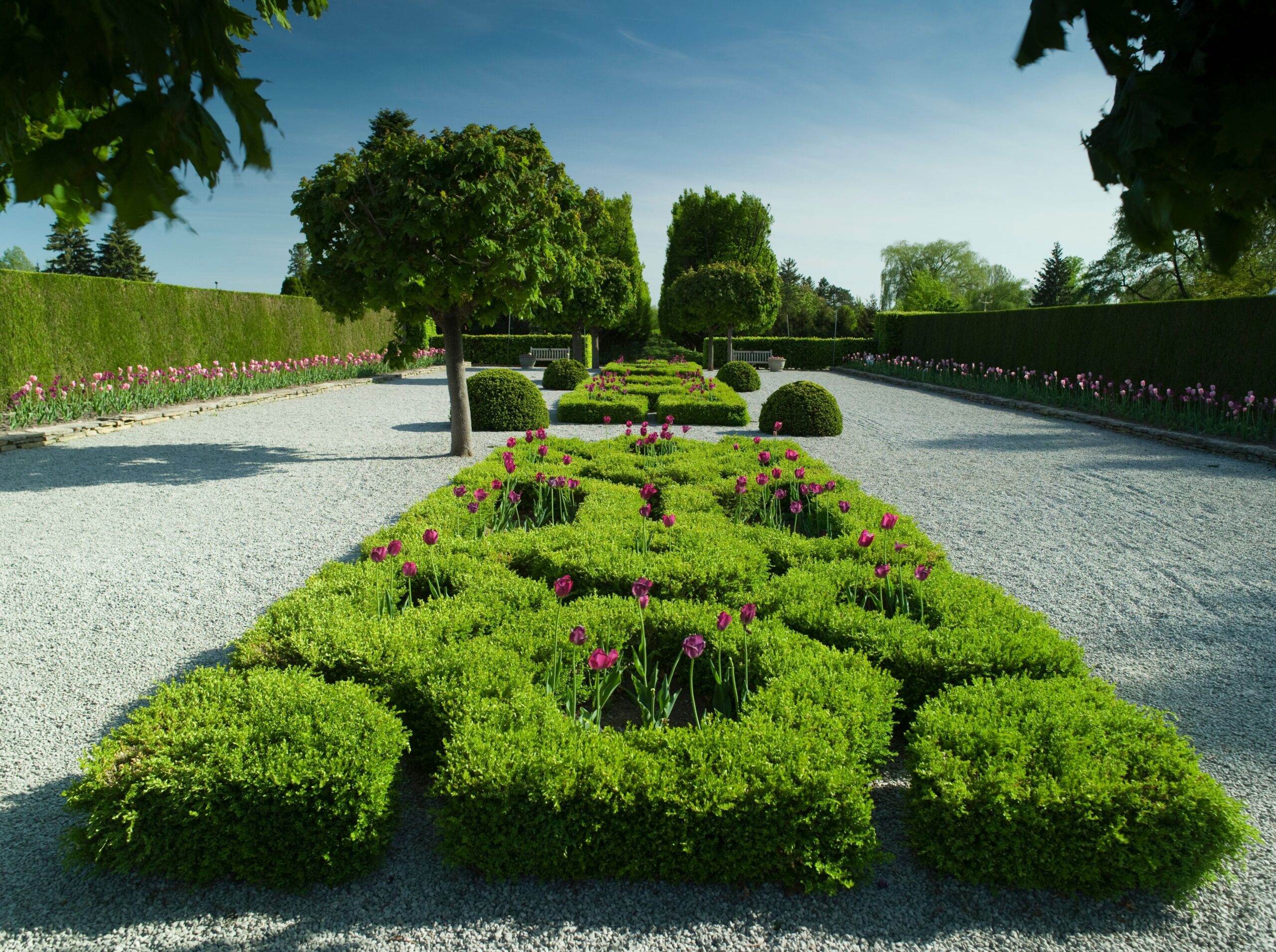 Mantenimiento estético de setos y jardín privado en Torrevieja